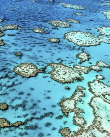Lagon Lagon