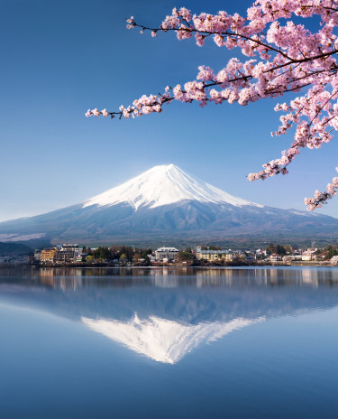 Tokyo Tokyo