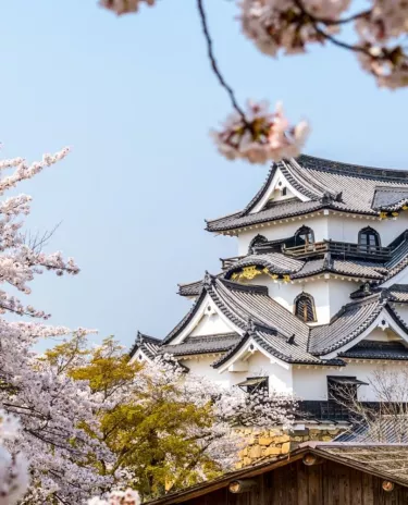 Château Hikone Château Hikone