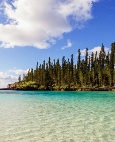 Piscine naturelle de l'île des Pins