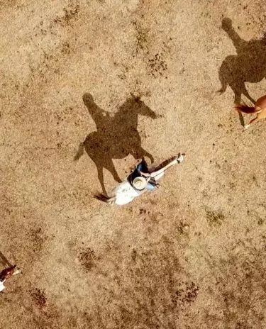 Stockmen de Nouivelle-Calédonie