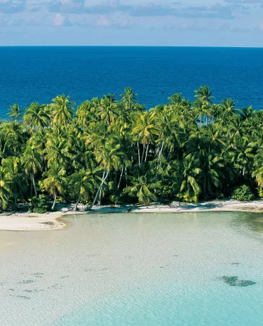 Ilot Tahiti Ilot Tahiti Cocotiers Océan Paysage