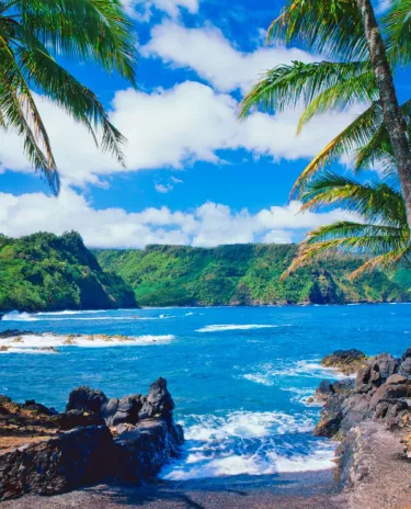 Hawaï Maui Plage Paysage Cocotiers