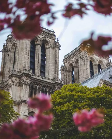 Cathédrale Notre Dame de Paris Cathédrale-Notre_Dame Paris Fleures Arbres