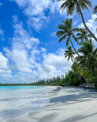 Un tableau de rêve 😍

L'île des Pin...