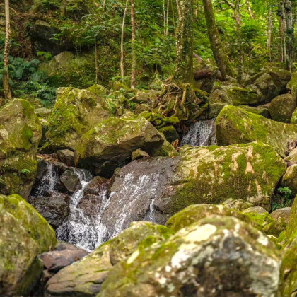 Entendez-vous le doux ruissèlement de c...