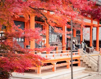 Osaka Osaka