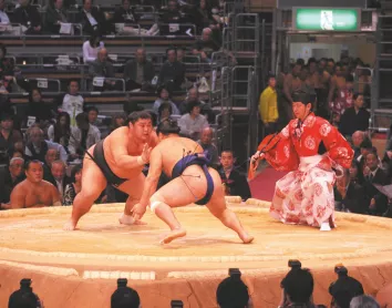 Tokyo : visite d'un tournois dans la tradition des Sumos au Japon sumo le sport de lutte japonais