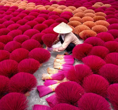 Champs de Fleures Hanoi Vietnam